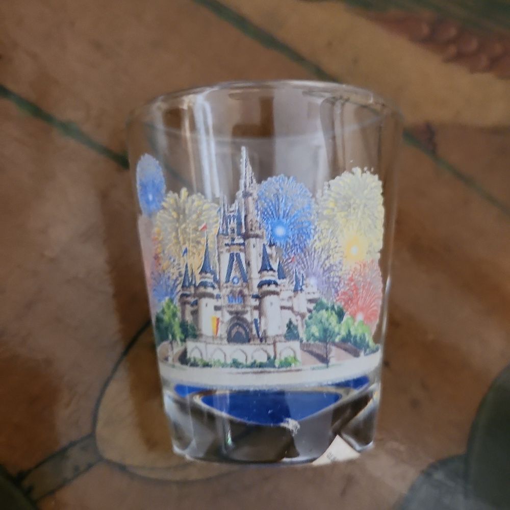 Walt Disney Magic Kingdom Shot Glass